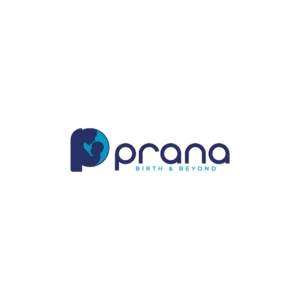 prana best digital marketing agency in Thrissur
