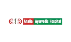 ahalia best digital marketing agency in thrissur