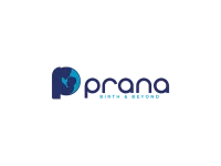 prana best digital marketing agency in Thrissur