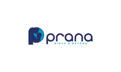 prana best digital marketing agency in Thrissur